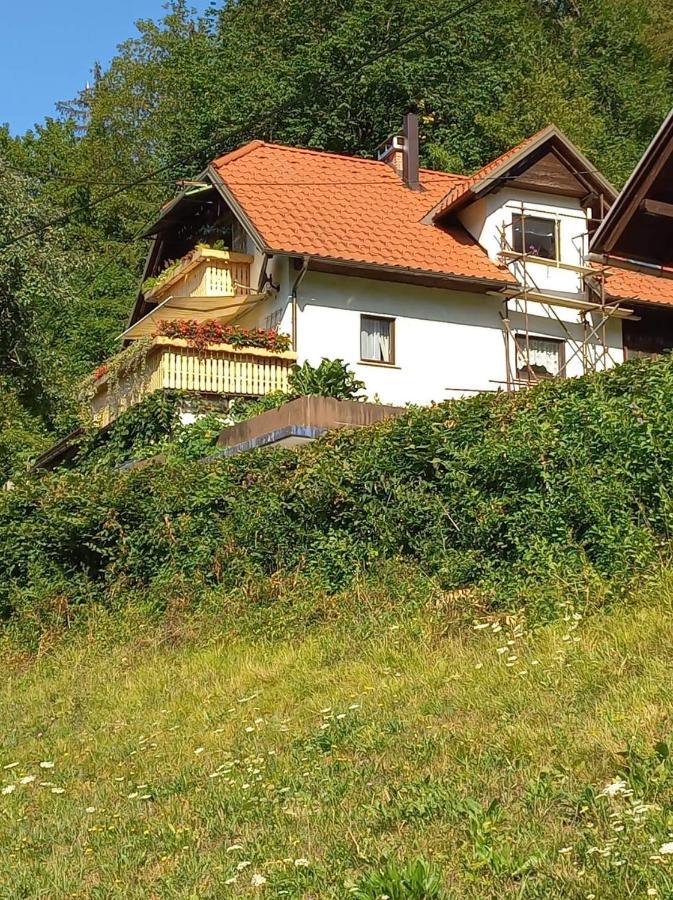 Apartment With A View Bohinjska Bistrica Kültér fotó